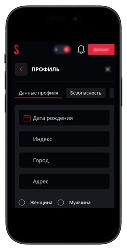 Вкладка с персональной информацией игрока