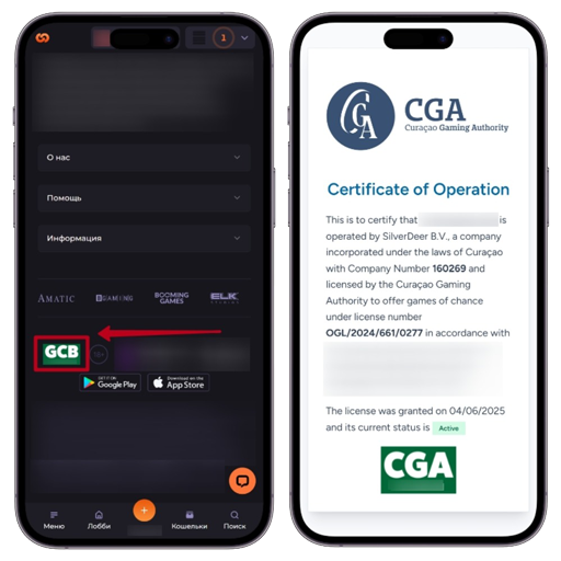 Подтверждение лицензии