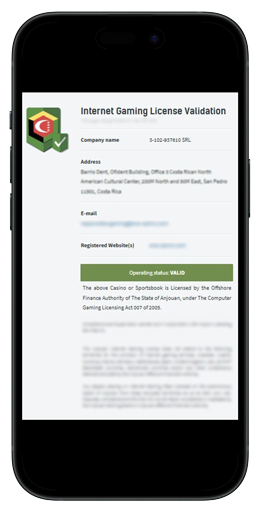 Вариант разрешительного документа