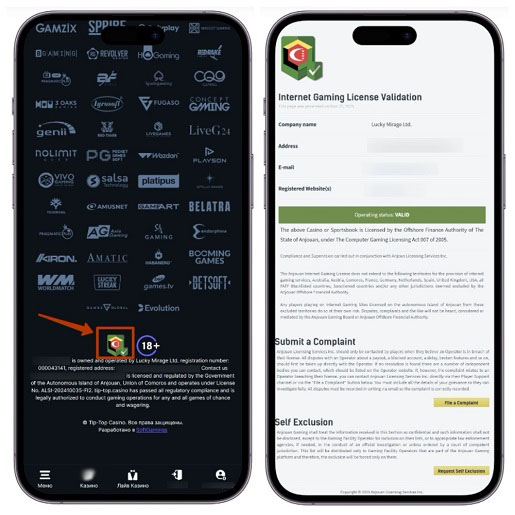 Подтверждение лицензии